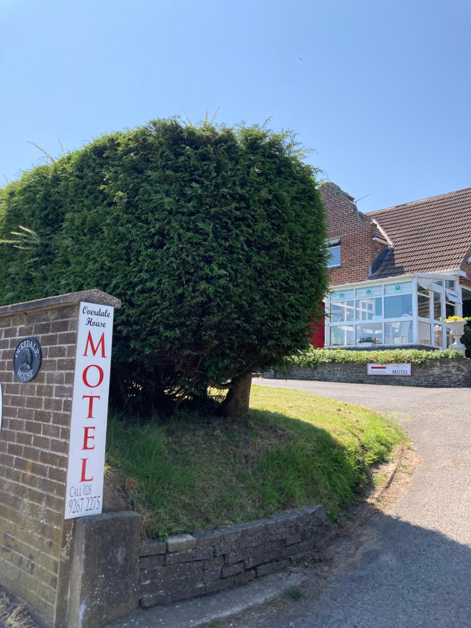 Overdale Motel Lisburn Eksteriør billede